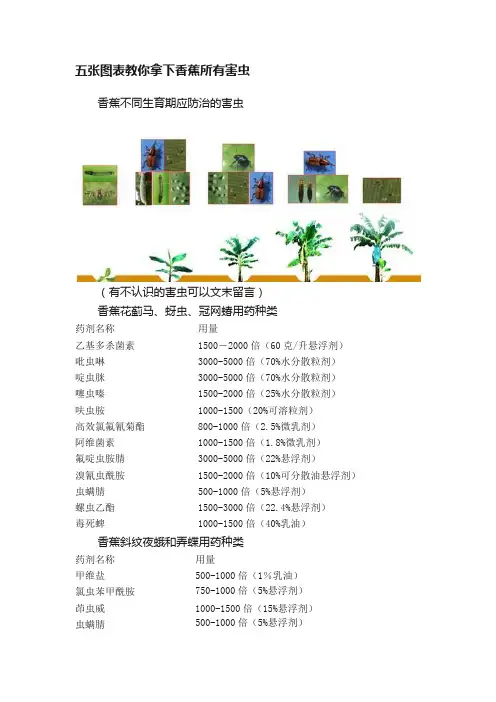 五张图表教你拿下香蕉所有害虫