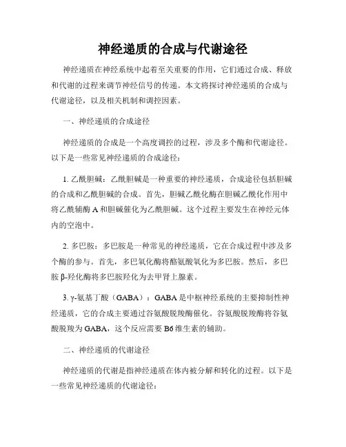 神经递质的合成与代谢途径