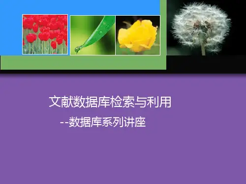 文献数据库检索与利用PPT