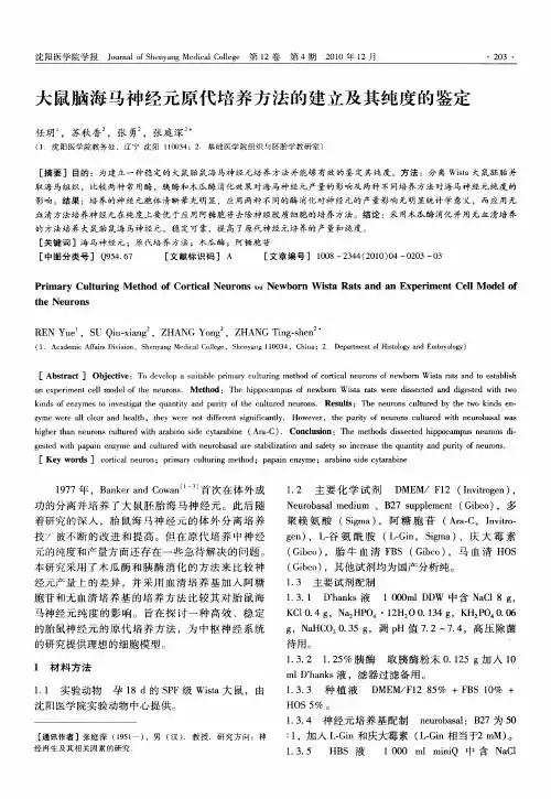 大鼠脑海马神经元原代培养方法的建立及其纯度的鉴定