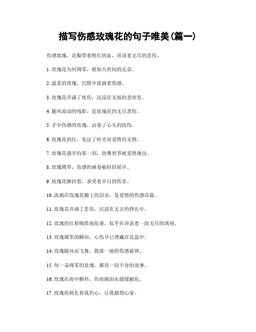 描写伤感玫瑰花的句子唯美(精选合集2篇)