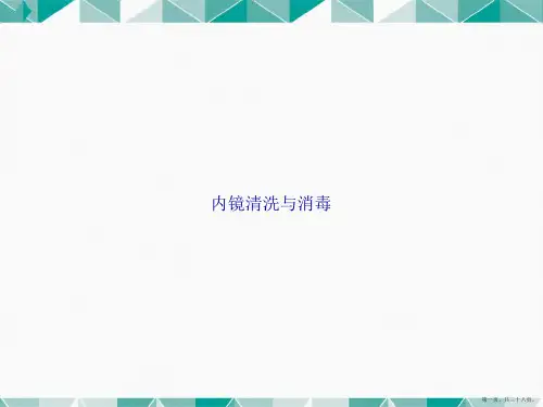 内镜清洗与消毒讲课文档