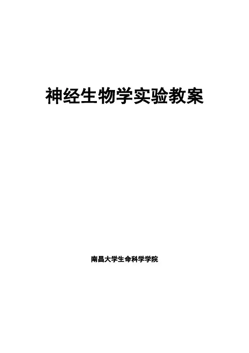 神经生物学实验教案