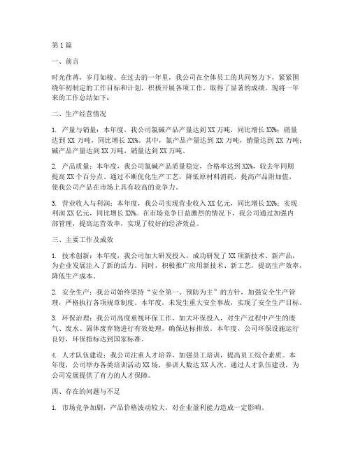 氯碱企业年度总结报告(3篇)