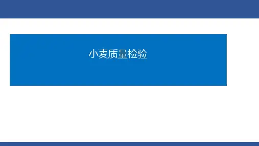 小麦质量检验
