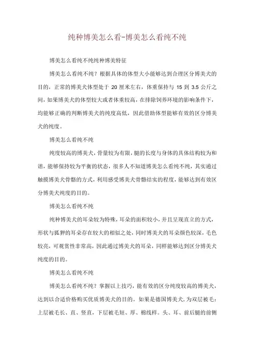 纯种博美怎么看-博美怎么看纯不纯