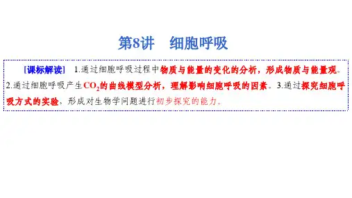2023届高三生物一轮复习课件：第8讲课时1 细胞呼吸