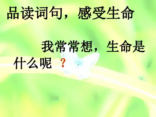 生命生命第二课时公开课教学课件PPT幻灯片