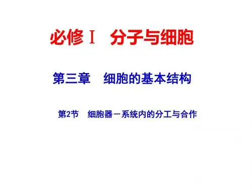 2015届高考生物一轮复习课件:1.2.2 细胞器__系统内的分工合作(人教版)