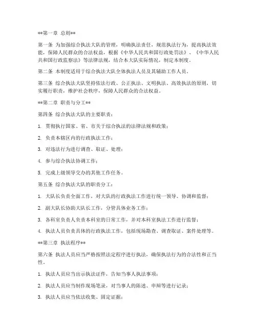 综合执法大队责任制度范本