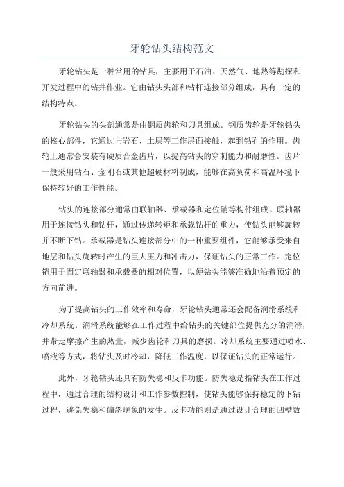 牙轮钻头结构范文