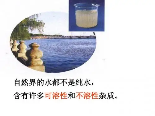 水的净化.PPT