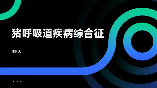 猪呼吸道疾病综合征
