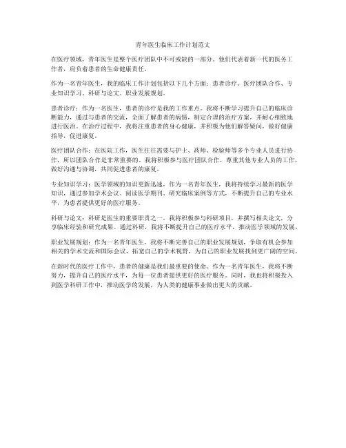 青年医生临床工作计划范文