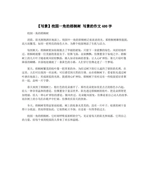 【写景】校园一角的梧桐树 写景的作文400字