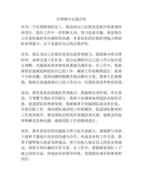 经理级中自我评价