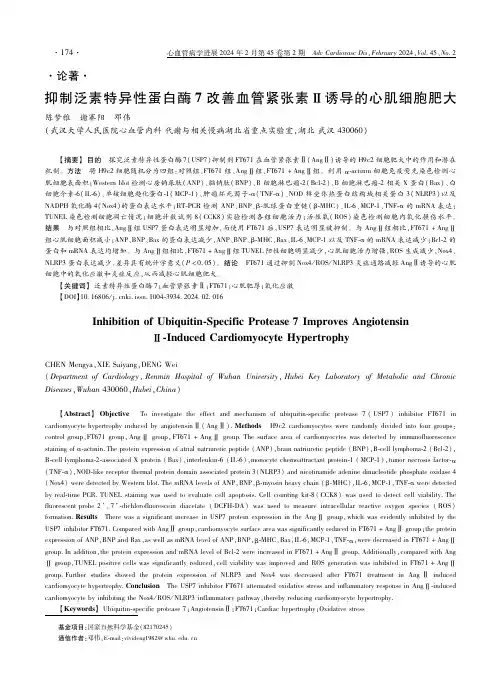 抑制泛素特异性蛋白酶７改善血管紧张素Ⅱ诱导的心肌细胞肥大