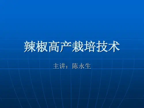 辣椒高产栽培技术