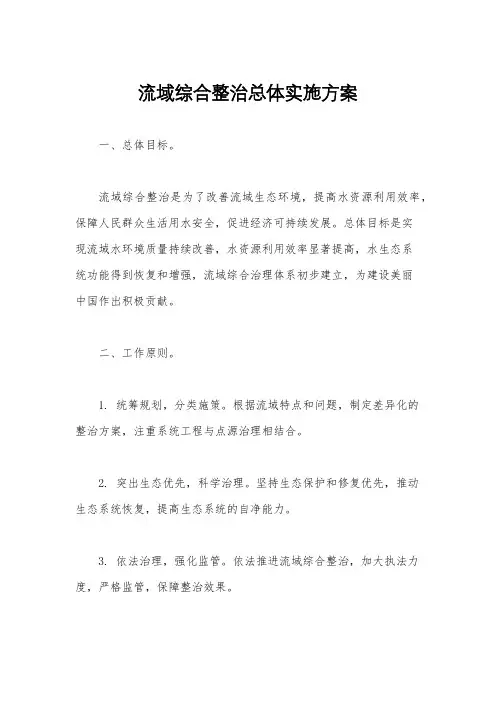 流域综合整治总体实施方案