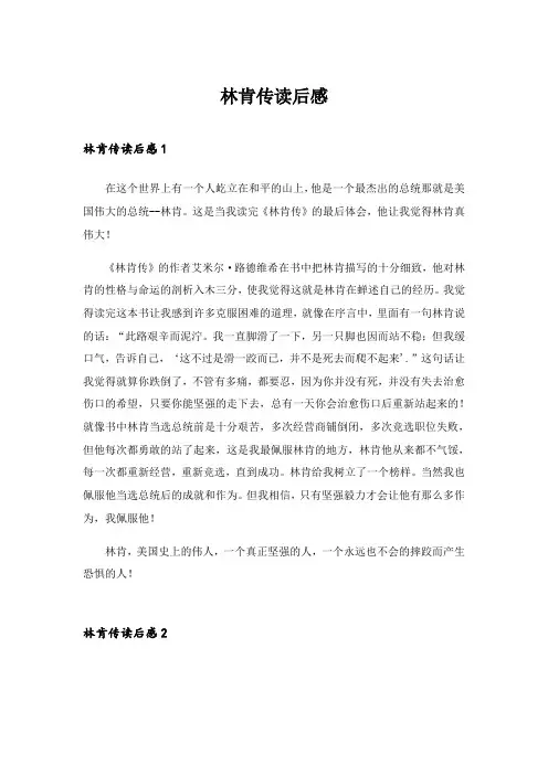 2024年林肯传读后感
