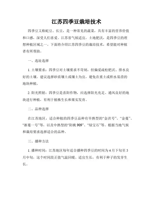 江苏四季豆栽培技术