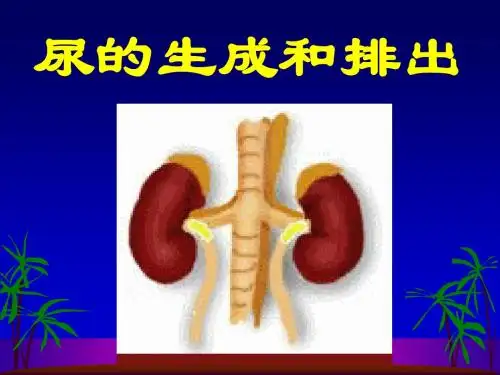 排泄生理