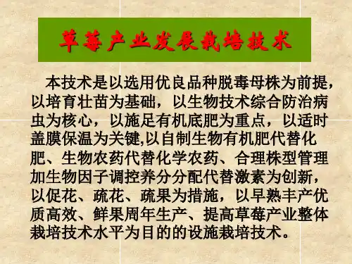 草莓栽培技术