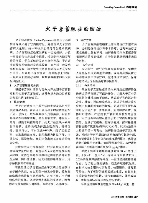 犬子宫蓄脓症的防治