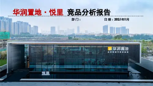 竞品分析报告