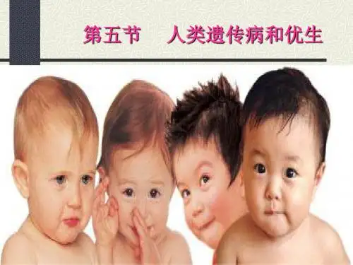 高中生物人类遗传病和优生PPT2 人教版