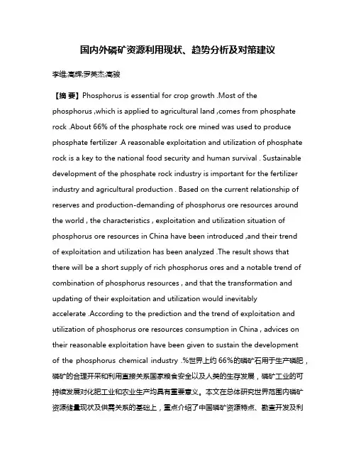 国内外磷矿资源利用现状、趋势分析及对策建议