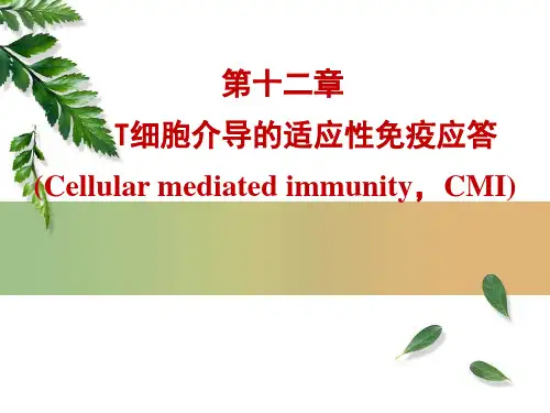 第十二章 细胞免疫(医学免疫学,人民卫生出版社第7版)