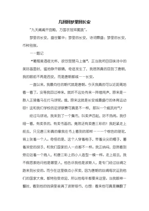 初三作文：梦回长安作文800字