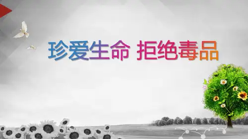 小学禁毒教育班会PPT