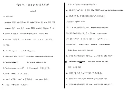 2023年外研版六年级下册英语知识点梳理