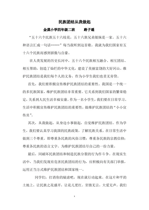 民族团结从我做起