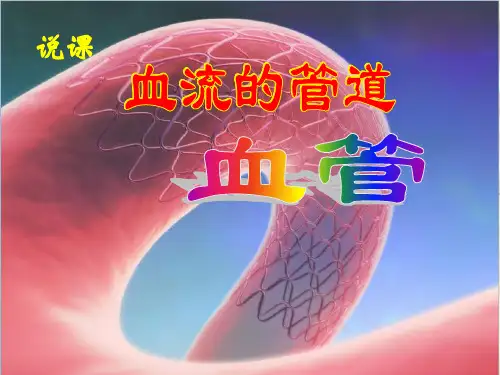 血管 (2)