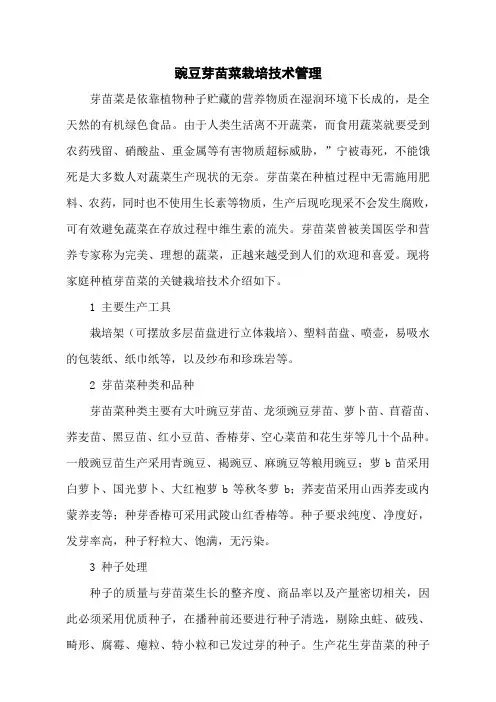 豌豆芽苗菜栽培技术管理