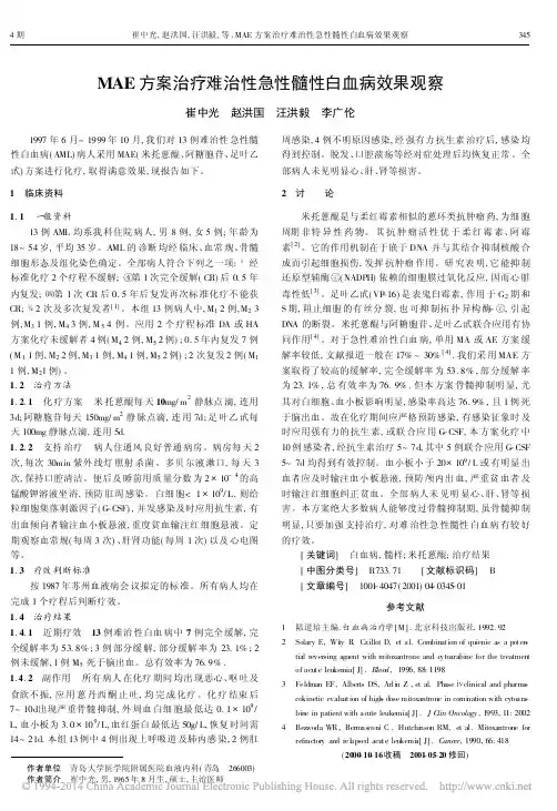 MAE方案治疗难治性急性髓性白血病效果观察