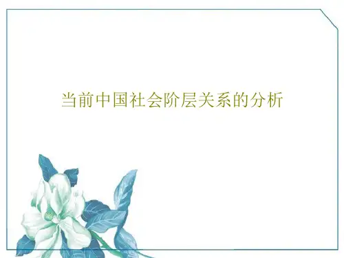 当前中国社会阶层关系的分析31页PPT