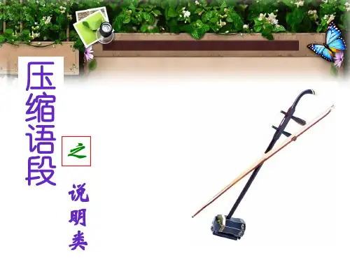 说明性语段压缩正式版