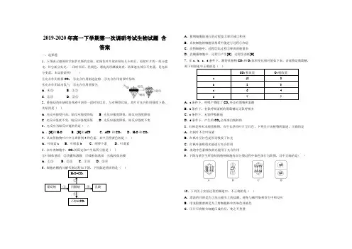2019-2020年高一下学期第一次调研考试生物试题 含答案