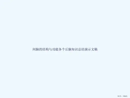间脑的结构与功能各个丘脑知识总结演示文稿