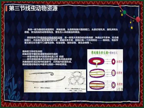 线虫动物资源
