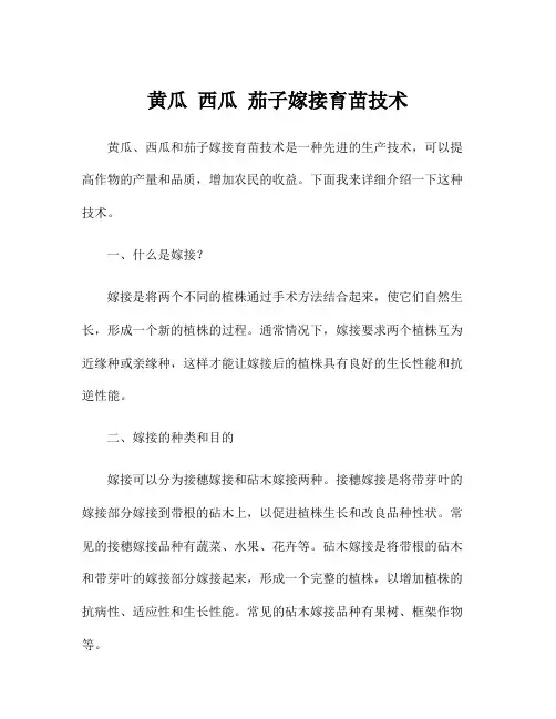 黄瓜 西瓜 茄子嫁接育苗技术