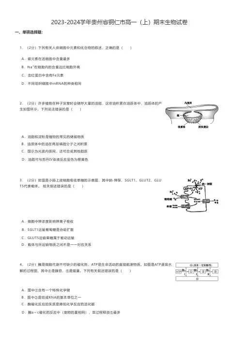 高中生物 2023-2024学年贵州省铜仁市高一(上)期末生物试卷