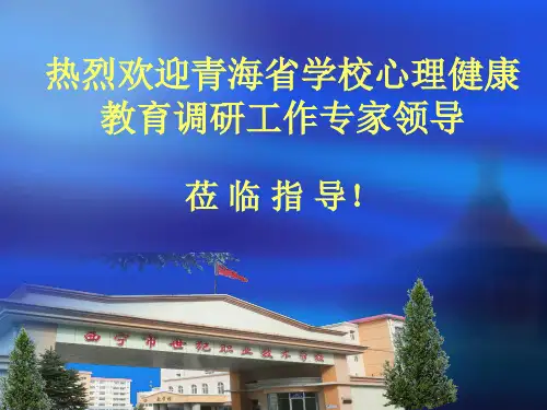 心理健康工作汇报PPT