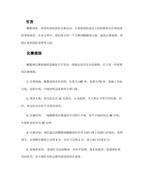 橄榄球方案