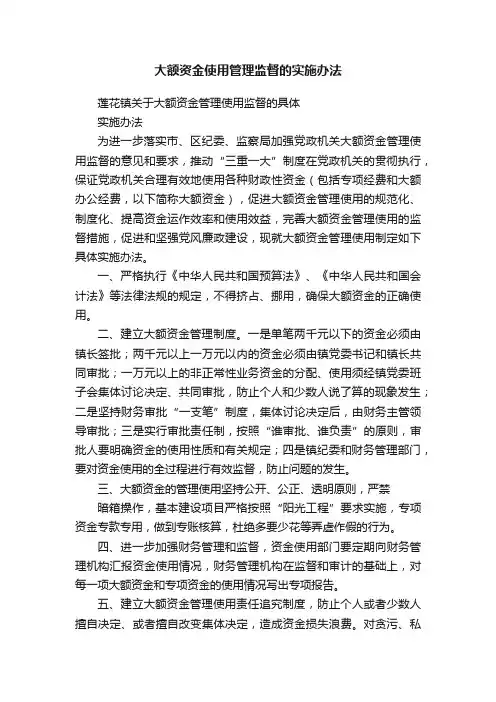 大额资金使用管理监督的实施办法