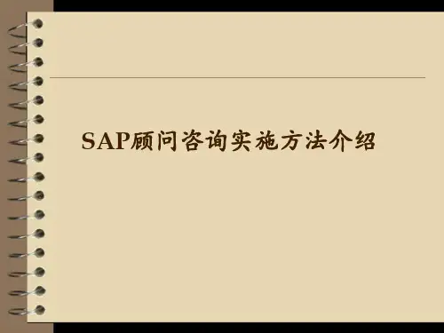 SAP-顾问咨询实施方法介绍